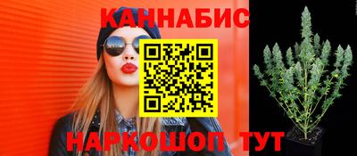 молекула духа Краснознаменск