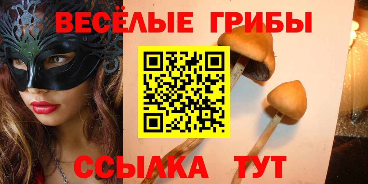 Галлюциногенные грибы GOLDEN TEACHER Керчь