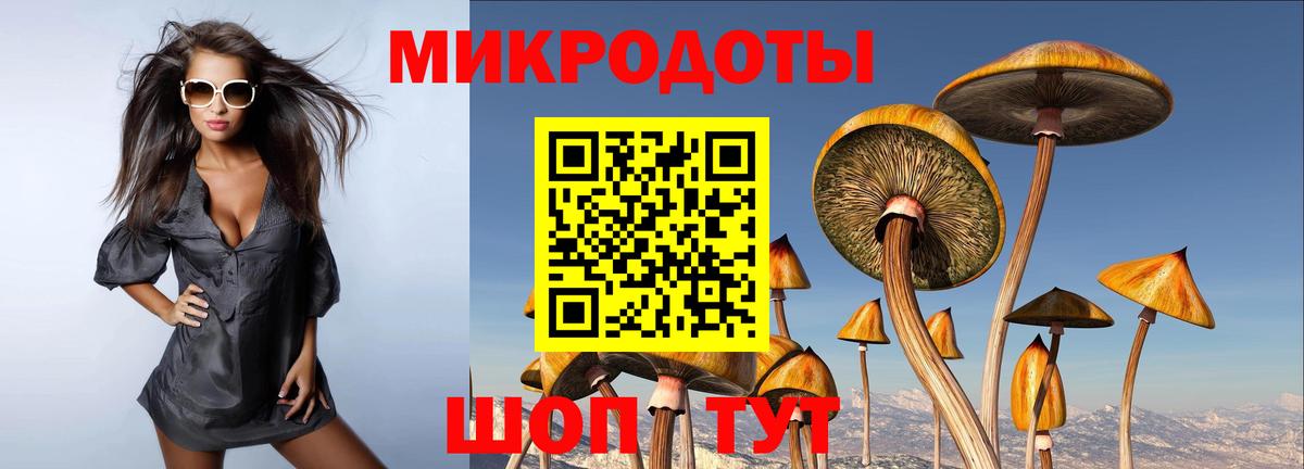Керчь  Галлюциногенные грибы MAGIC MUSHROOMS  Псилоцибиновые грибы ЛСД  Вход с VPN 